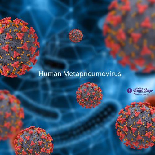 Current Statistics of HMPV Virus in Nepal | Health Yaad Aayo